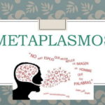 ejemplos de metaplasmo