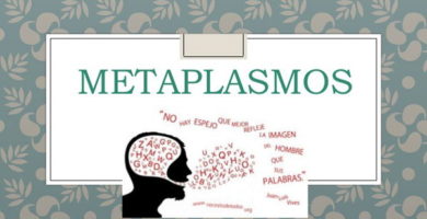 ejemplos de metaplasmo